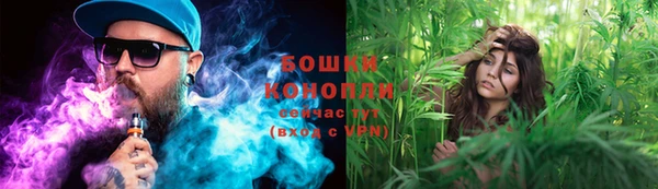 гашик Сафоново