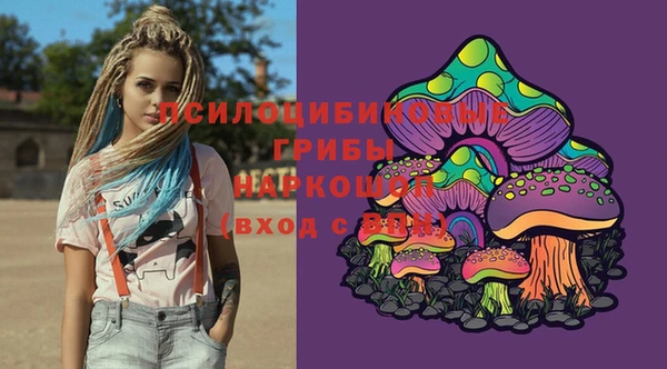 гашик Сафоново