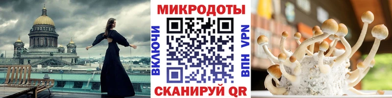 Галлюциногенные грибы прущие грибы  Алагир 